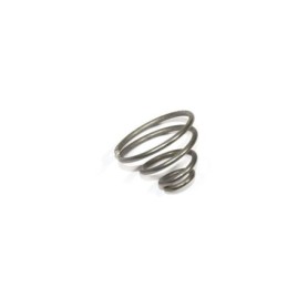 Valve Spring for FMDVRSA/RSR valves