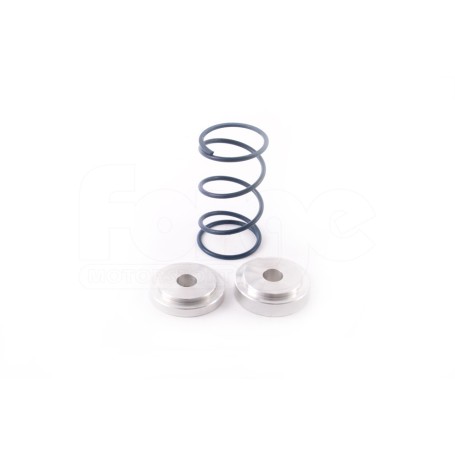FMDVRAYV2 Individual Springs