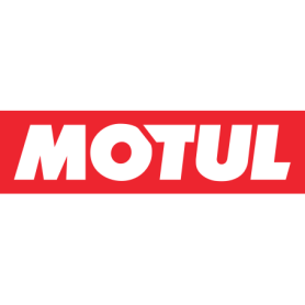MOTUL ENG CLEAN AUTO 0,3L mgiautoparts.com