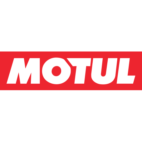 MOTUL ENG CLEAN AUTO 0,3L mgiautoparts.com
