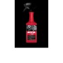 MOTUL BRILLO EXPRESS mgiautoparts.com