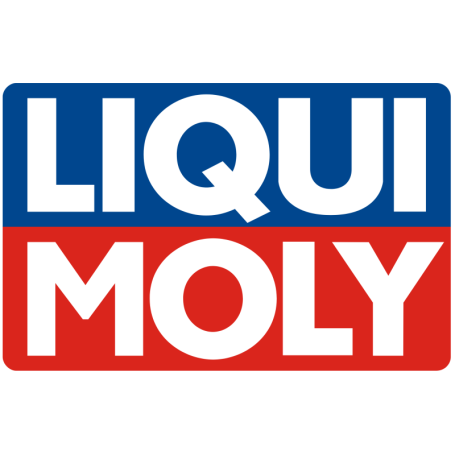 LIQUI MOLY LIMPIADOR DFI 120ML mgiautoparts.com