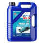 LIQUI MOLY 2T MOTOR OIL mgiautoparts.com