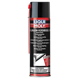 LIQUI MOLY CONSERVACIÓN TRANSPARENTE (SPRA mgiautoparts.com